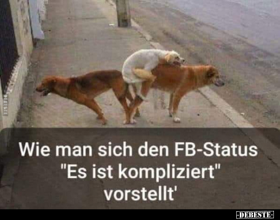 Wie man sich den FB-Status "Es ist kompliziert".. - Lustige Bilder | DEBESTE.de