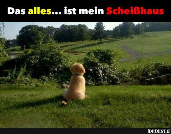 Das alles... ist mein Scheißhaus..