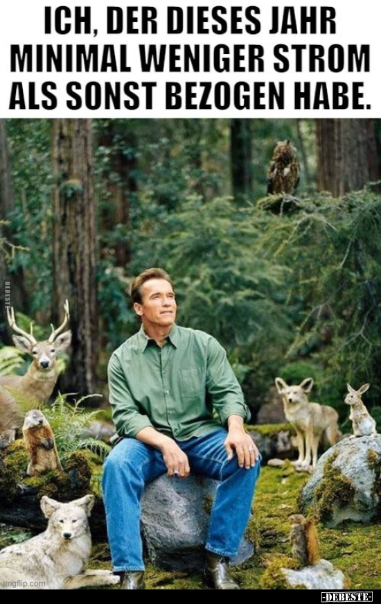 Ich, der dieses Jahr minimal weniger Strom als sonst bezogen habe.