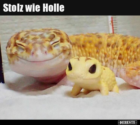 Stolz wie Holle.. - Lustige Bilder | DEBESTE.de