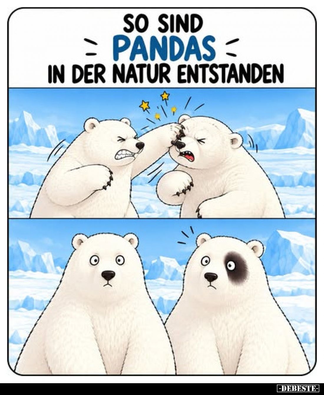 So sind
Pandas
in der Natur entstanden