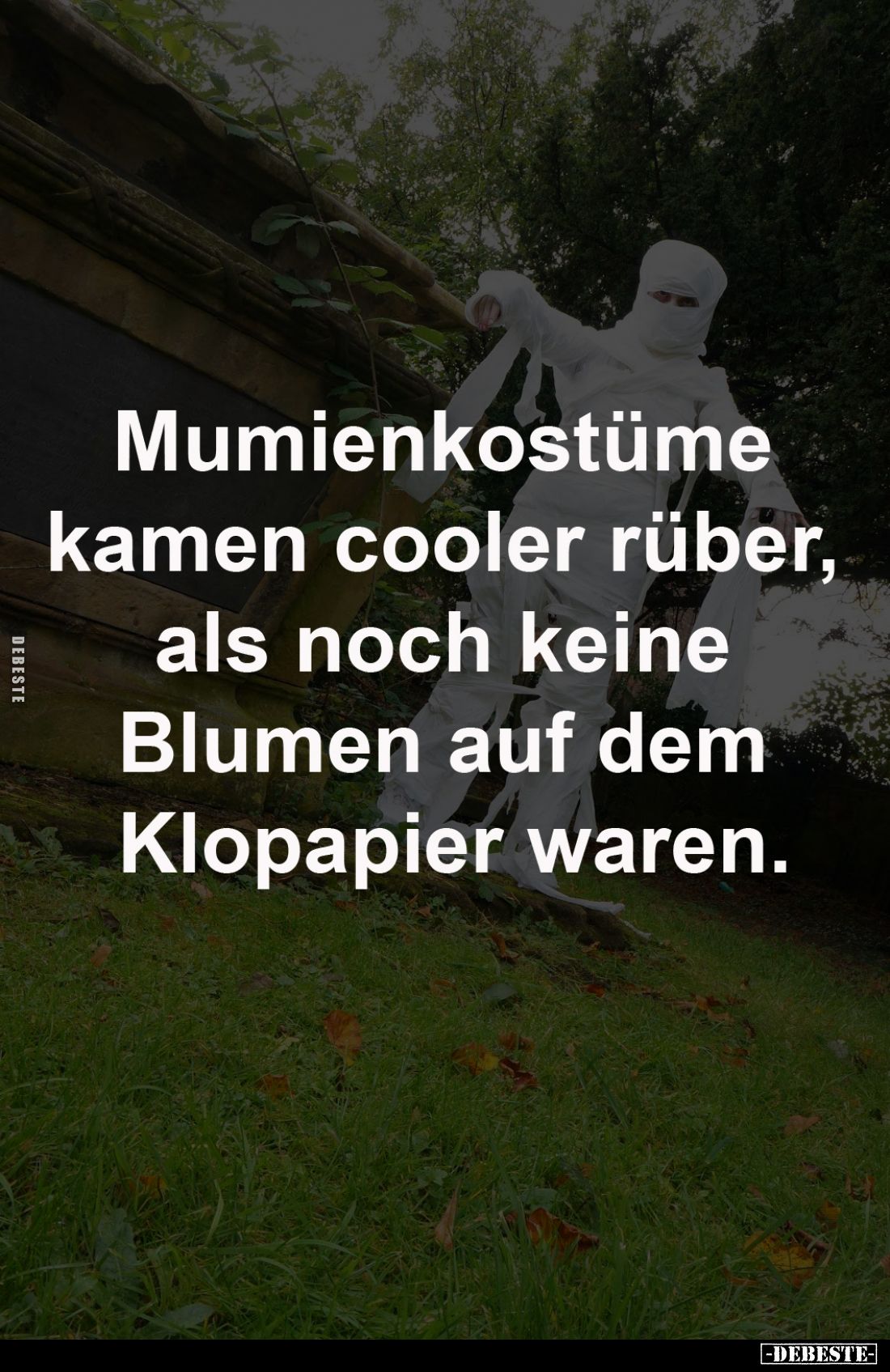 Mumienkostüme kamen cooler
rüber, als noch keine Blumen
auf dem Klopapier waren.