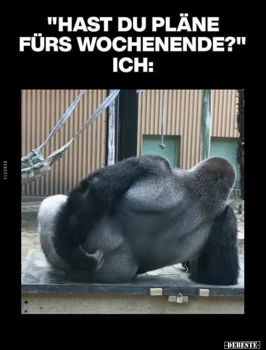 Fürs Wochenende