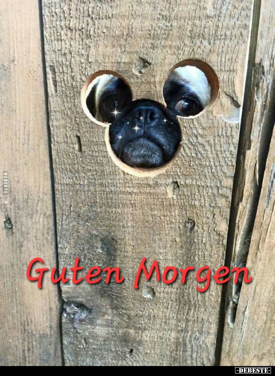 Guten Morgen!