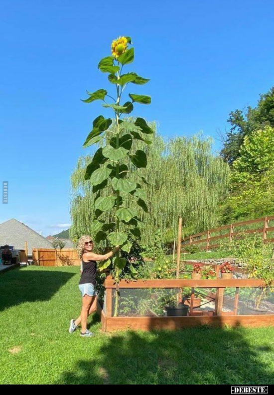  - Lustige Bilder | DEBESTE.de