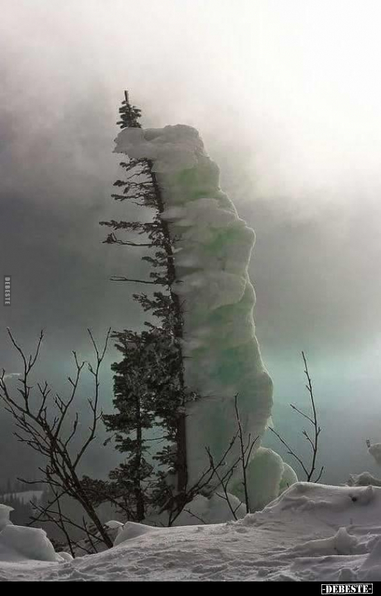  - Lustige Bilder | DEBESTE.de