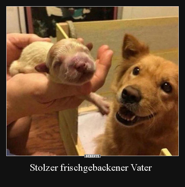 Stolzer frischgebackener Vater.. - Lustige Bilder | DEBESTE.de