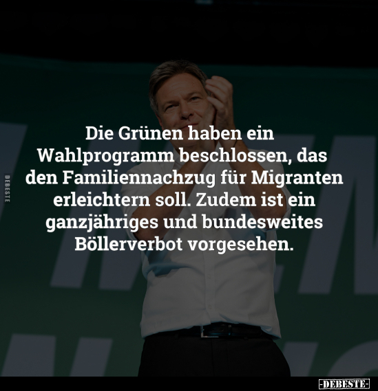 Die Grünen, Migranten, Böllerverbot