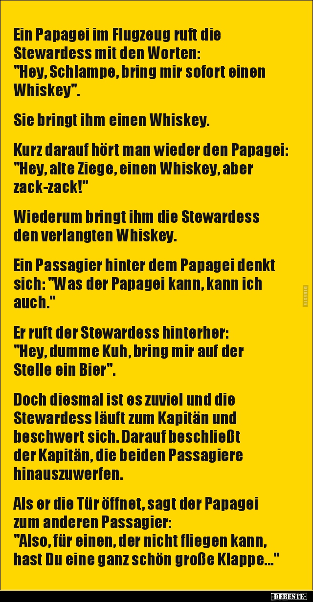 Ein Papagei im Flugzeug ruft die Stewardess mit den.. - Lustige Bilder | DEBESTE.de