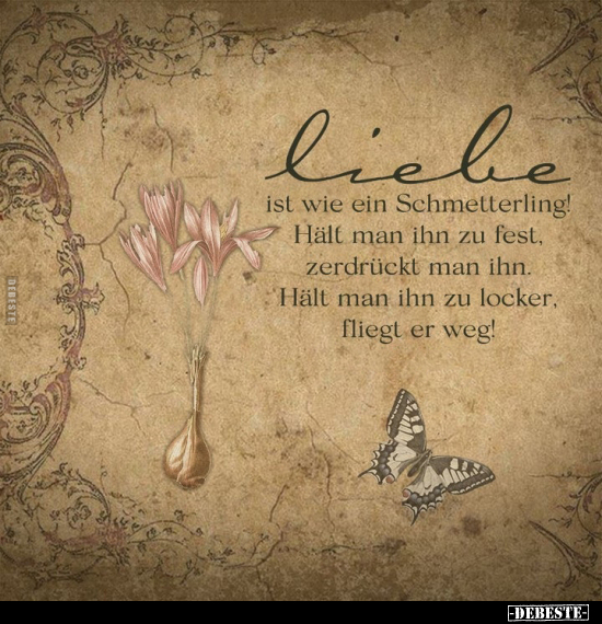 Liebe ist wie ein Schmetterling.. - Lustige Bilder | DEBESTE.de