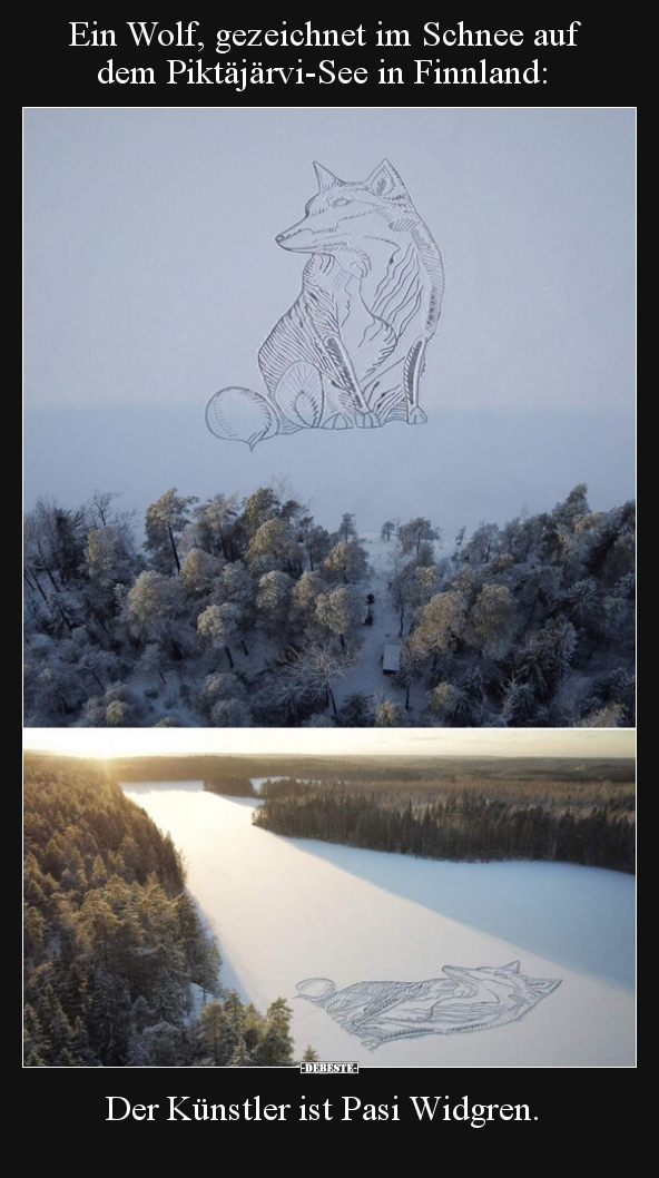 Ein Wolf, gezeichnet im Schnee auf dem Piktäjärvi-See in.. - Lustige Bilder | DEBESTE.de