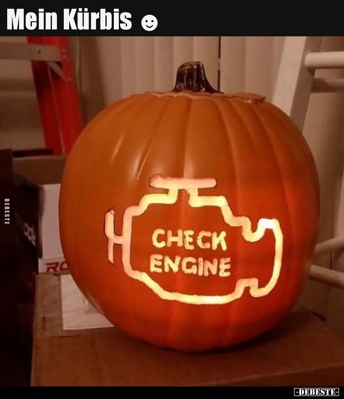 Mein Kürbis.