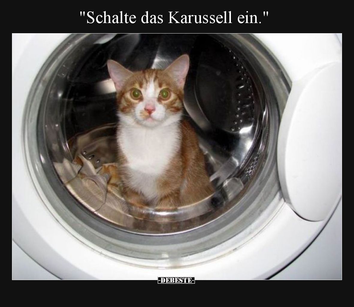 Schalte das Karussell ein.
