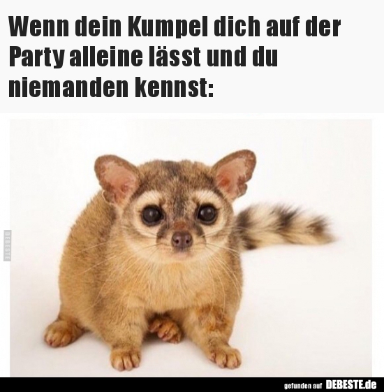 Wenn dein Kumpel dich auf der Party alleine lässt und du..