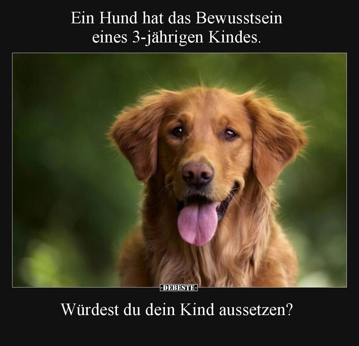 Ein Hund hat das Bewusstsein eines 3-jährigen Kindes. Würdest du dein Kind aussetzen?
