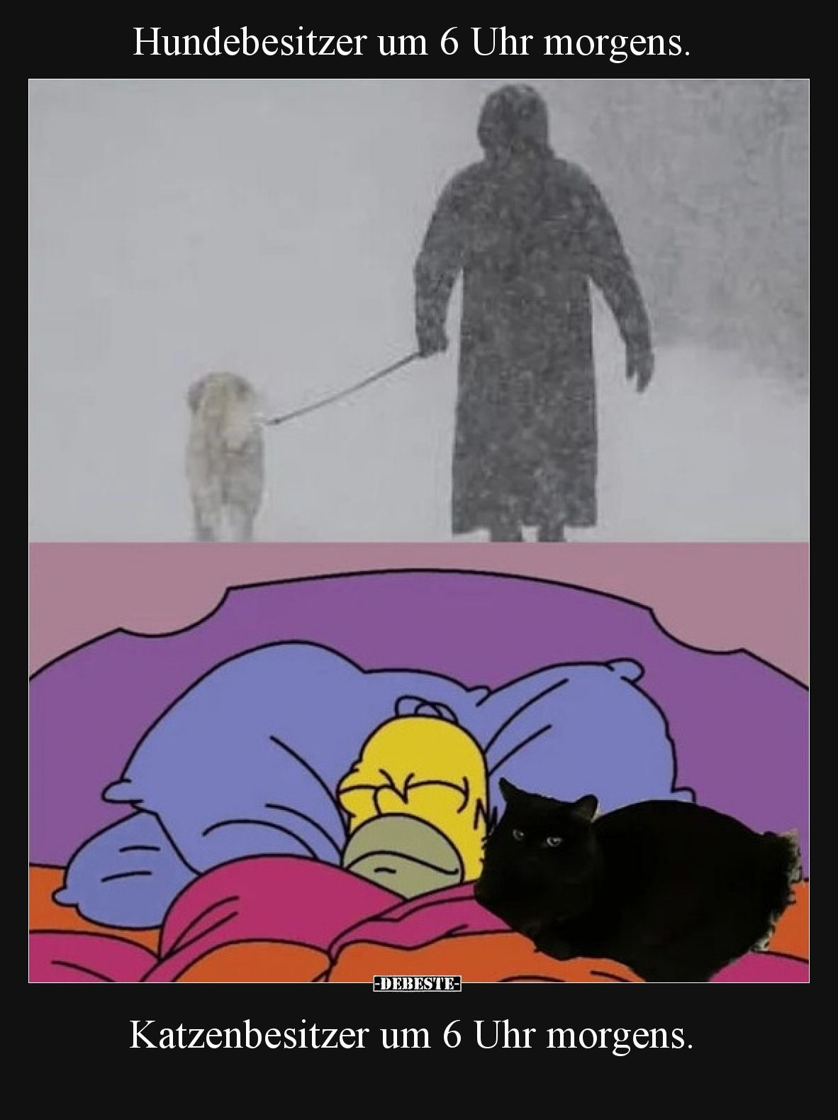 Hundebesitzer um 6 Uhr morgens... - Lustige Bilder | DEBESTE.de