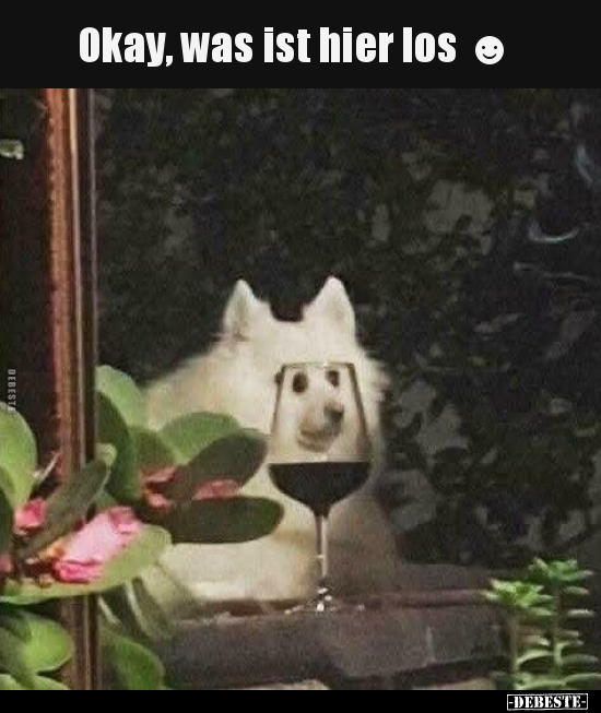Okay, was ist hier los