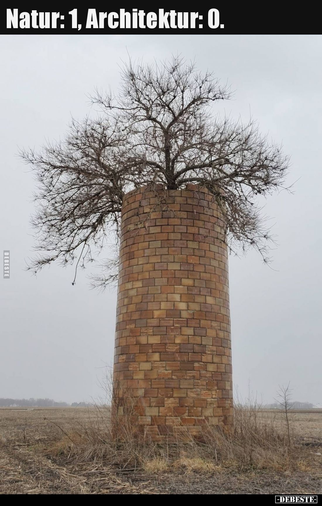 Natur: 1, Architektur: 0.