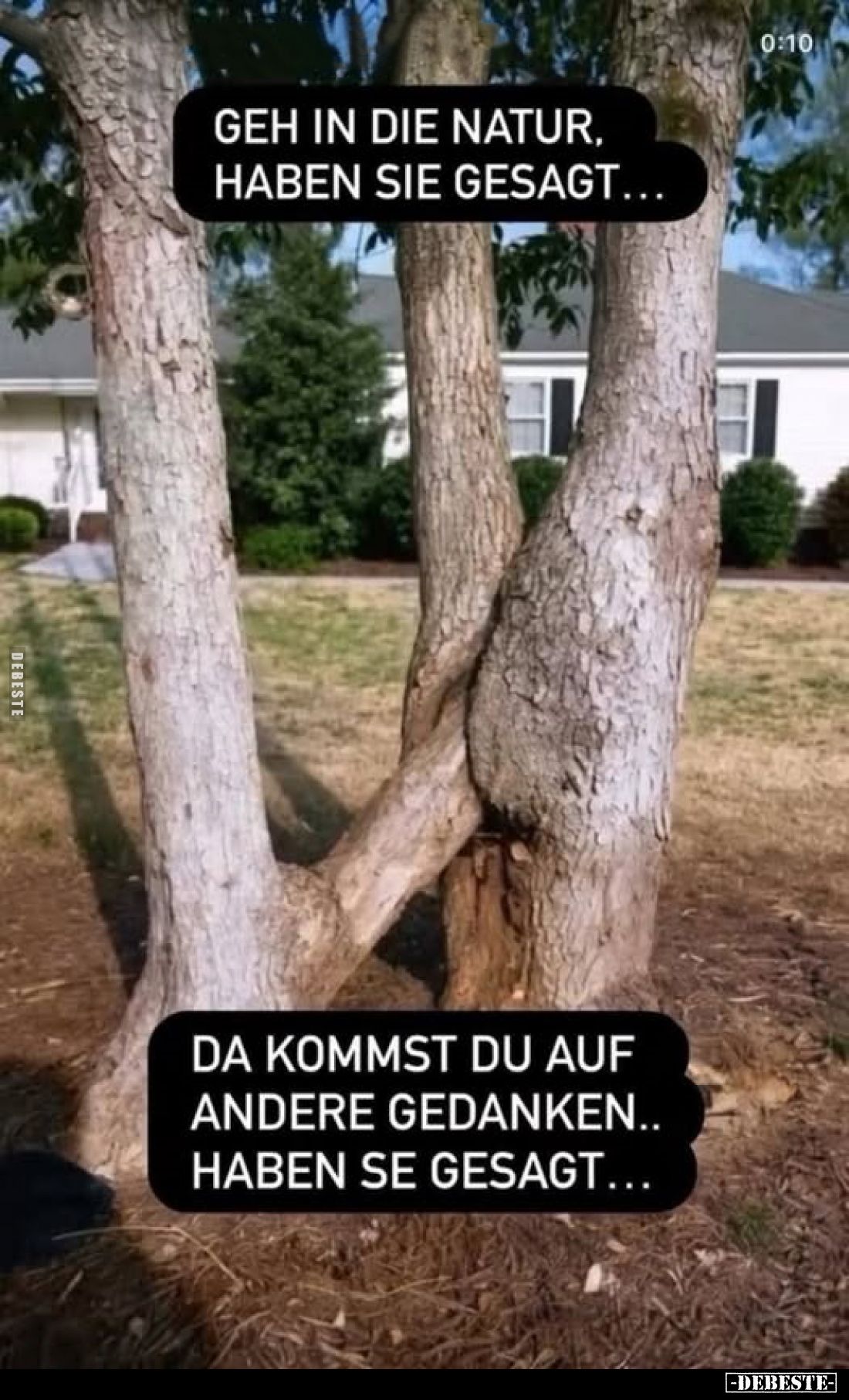 Geh in die Natur, haben sie gesagt...
da kommst du auf andere Gedanken.. haben sie gesagt...