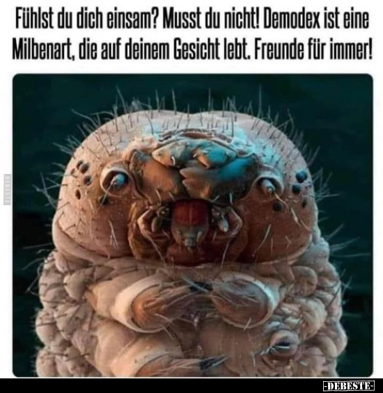 Fühlst du dich einsam? Musst du nicht!.. - Lustige Bilder | DEBESTE.de