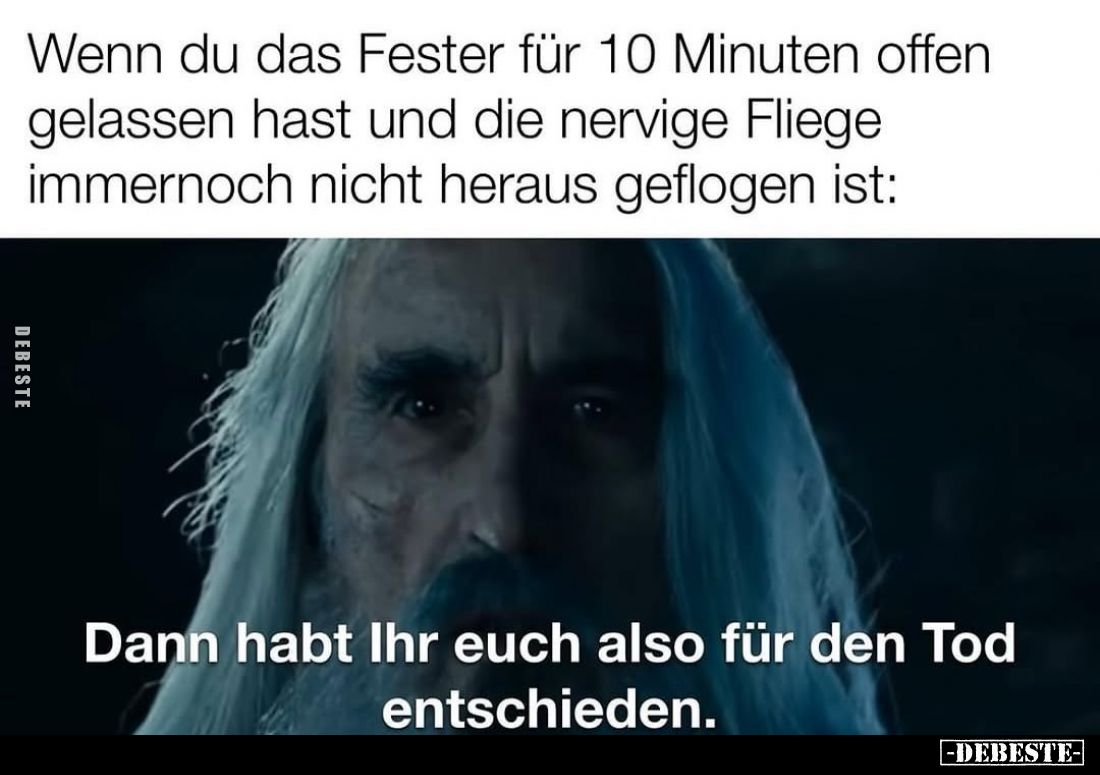 Wenn du das Fester für 10 Minuten offen gelassen hast und die nervige Fliege immernoch nicht heraus geflogen ist:
Dann habt ...