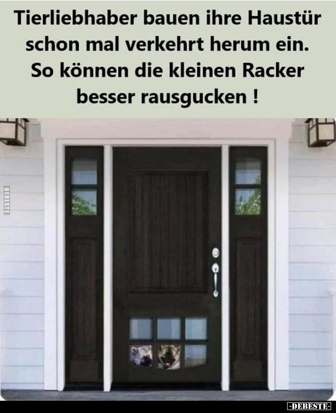 Tierliebhaber bauen ihre Haustür schon mal verkehrt herum ein. So können die kleinen Racker besser rausgucken!