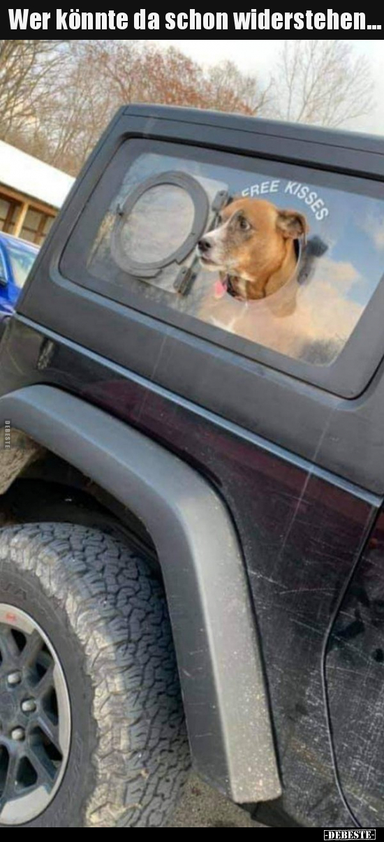 Wer könnte da schon widerstehen...