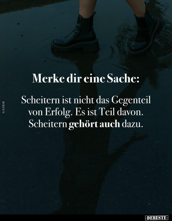 Merke dir eine Sache: Scheitern ist nicht das Gegenteil... - Lustige Bilder | DEBESTE.de