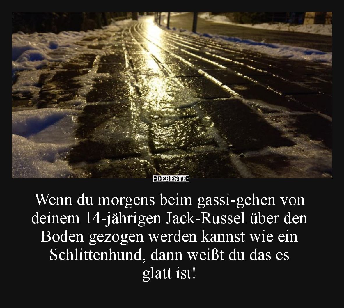 Wenn du morgens beim gassi-gehen von deinem 14-jährigen Jack-Russel über den Boden gezogen werden kannst wie ein Schlittenhun...
