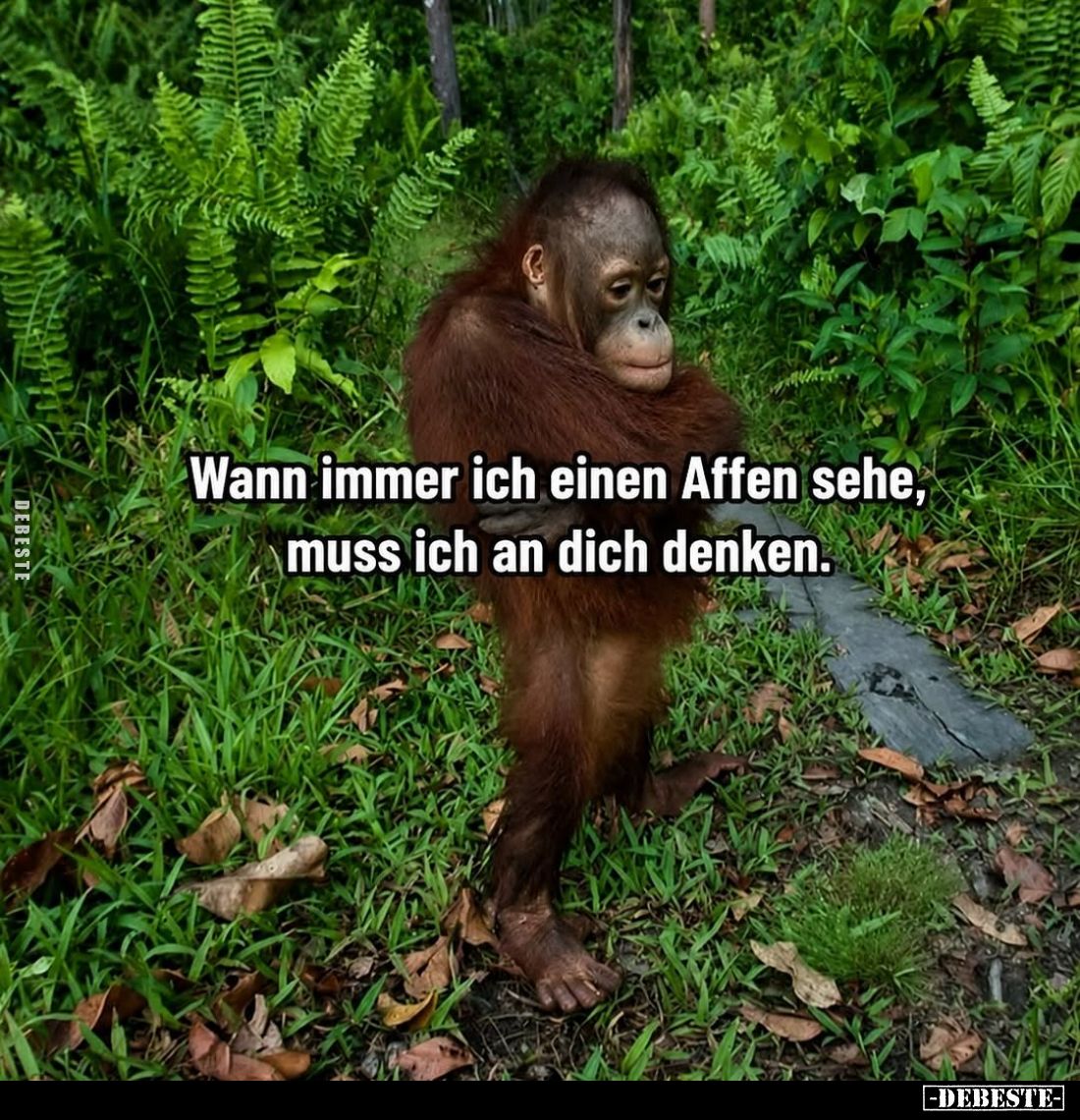 Wann immer ich einen Affen sehe, muss ich an dich denken.