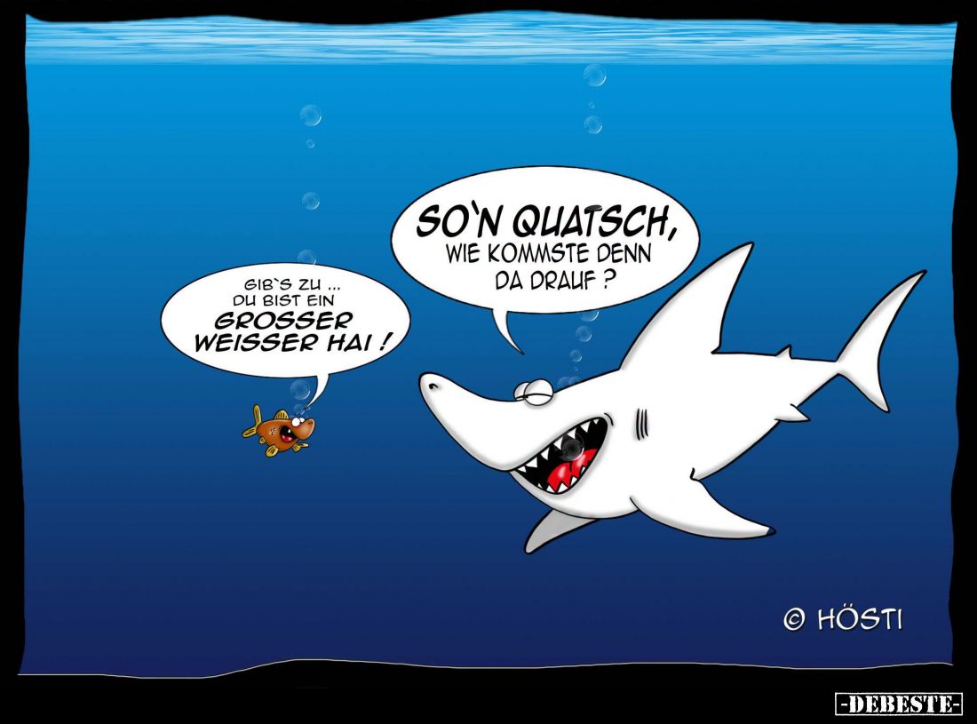 Gib's zu... du bist ein großer weißer Hai! - So'n quatsch, wie kommste denn da drauf?
