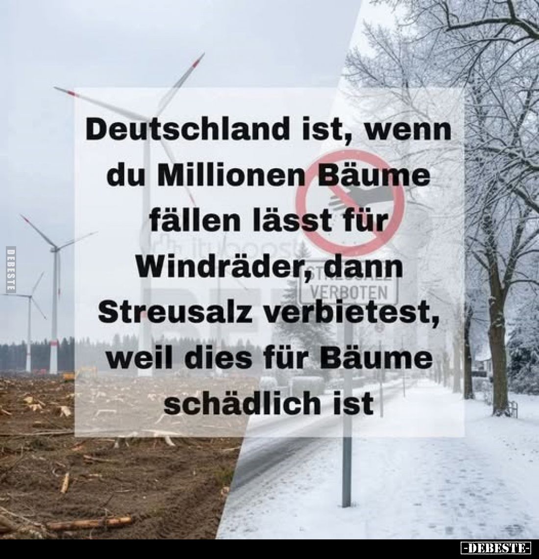 Deutschland ist, wenn du Millionen Bäume fällen lässt für Windräder, dann Streusalz verbietest, weil dies für Bäume schädlich...