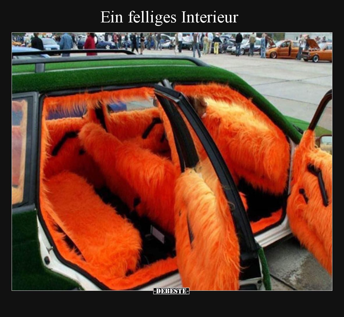 Ein felliges Interieur