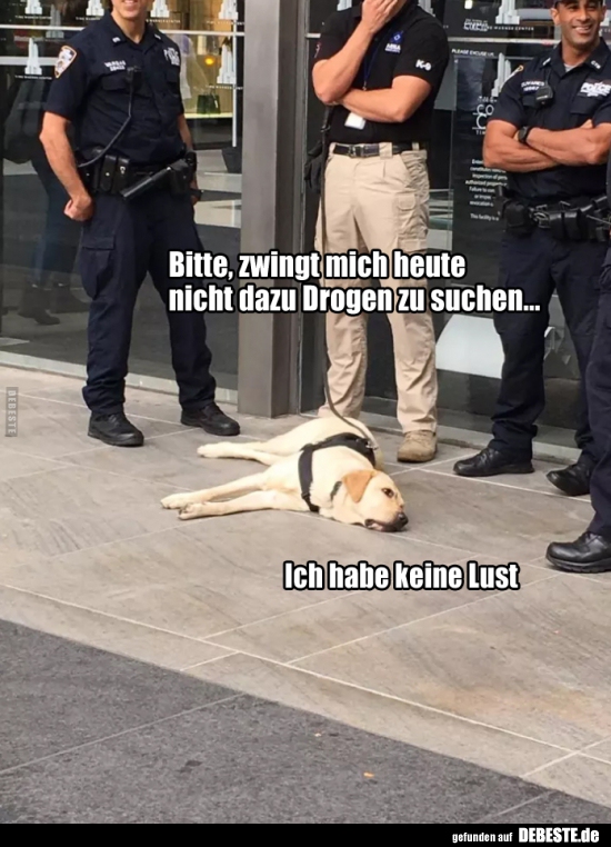 Bitte, zwingt mich heute nicht dazu Drogen zu suchen..