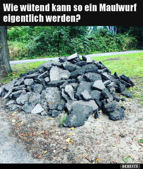 Wie wütend kann so ein Maulwurf eigentlich werden?..