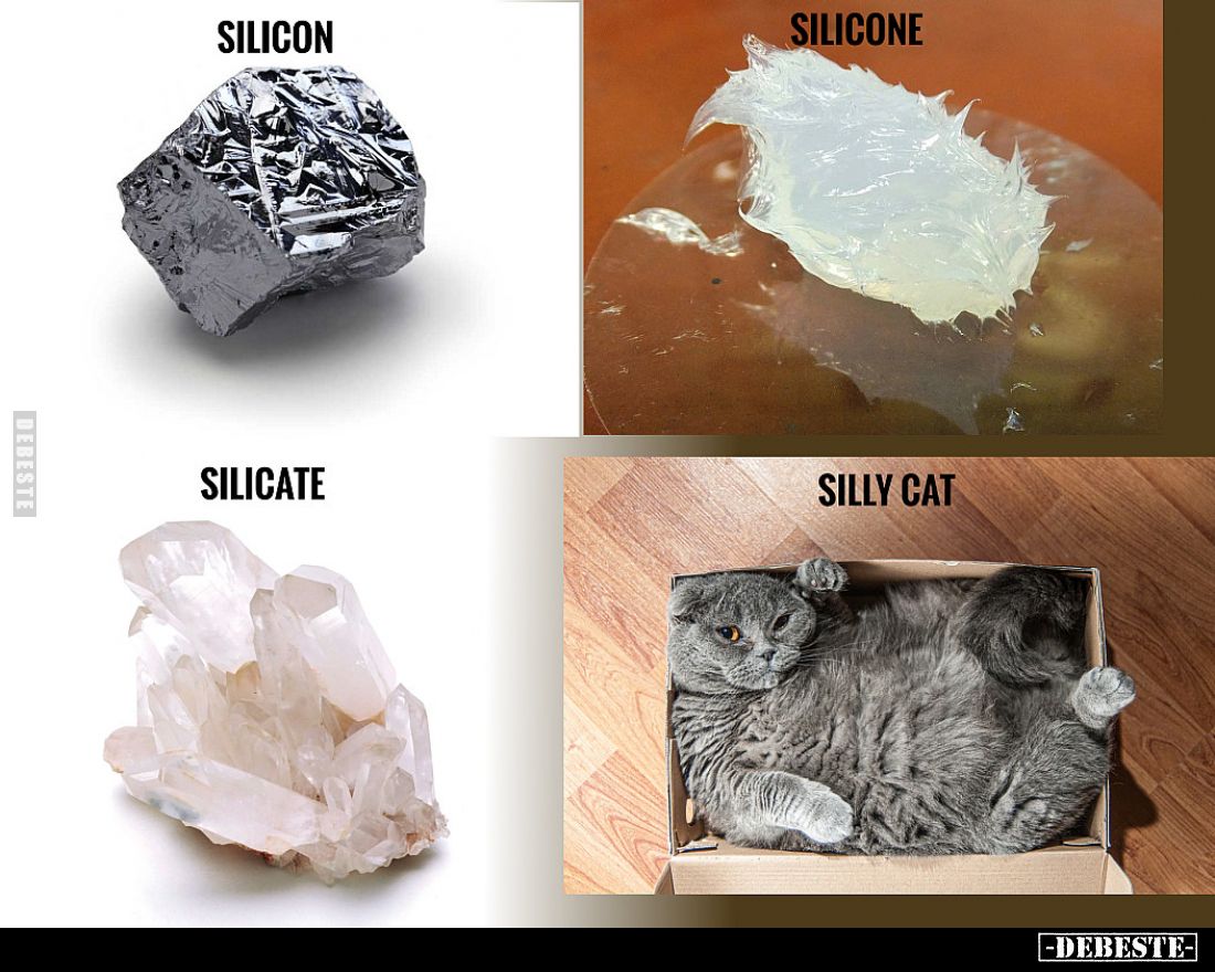  - Lustige Bilder | DEBESTE.de