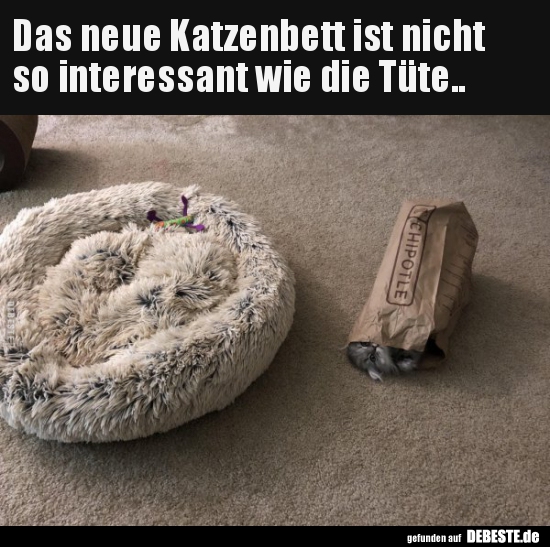 Das neue Katzenbett ist nicht so interessant wie die.. - Lustige Bilder | DEBESTE.de