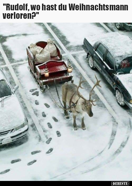 "Rudolf, wo hast du Weihnachtsmann verloren?".. - Lustige Bilder | DEBESTE.de