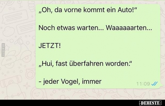 "Oh, da vorne kommt ein Auto!"..