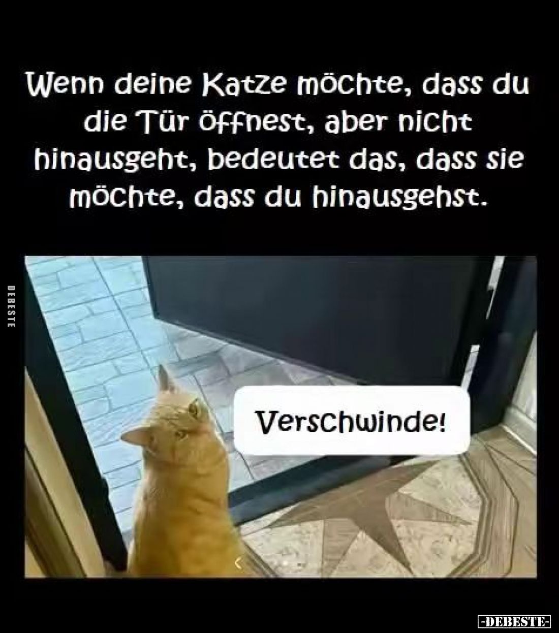Wenn deine Katze möchte, dass du die Tür öffnest, aber nicht hinausgeht, bedeutet das, dass sie möchte, dass du hinausgehst.
...