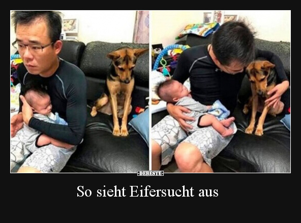 So sieht Eifersucht aus.. - Lustige Bilder | DEBESTE.de