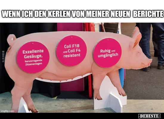 Wenn ich den Kerlen von meiner neuen Berichte... - Lustige Bilder | DEBESTE.de