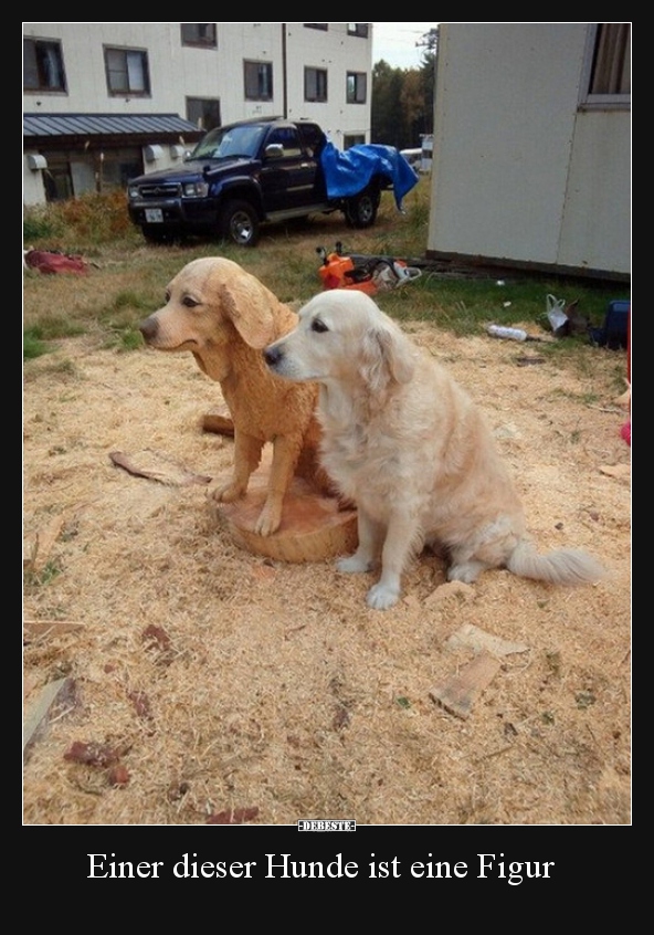 Einer dieser Hunde ist eine Figur..