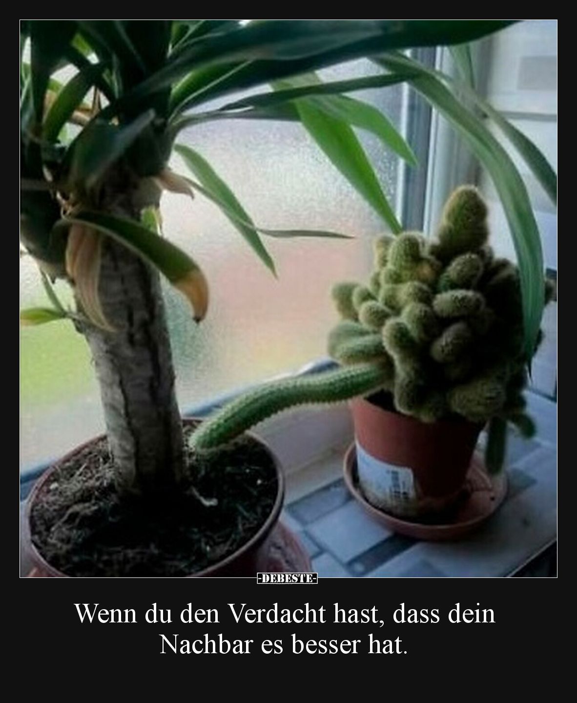 Wenn du den Verdacht hast, dass dein Nachbar es besser.. - Lustige Bilder | DEBESTE.de