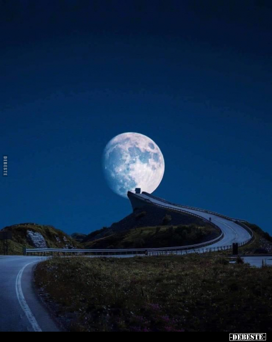 To the mooon.. - Lustige Bilder | DEBESTE.de