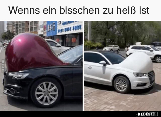 Wenns ein bisschen zu heiß ist.. - Lustige Bilder | DEBESTE.de