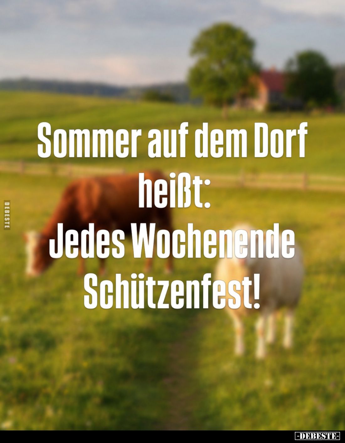 Sommer auf dem Dorf heißt:
Jedes Wochenende Schützenfest!