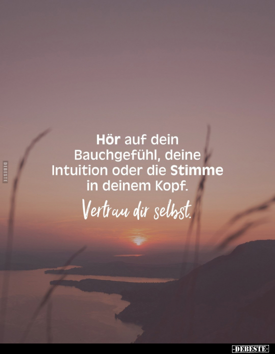 Hör auf dein Bauchgefühl, deine Intuition oder die Stimme.. - Lustige Bilder | DEBESTE.de