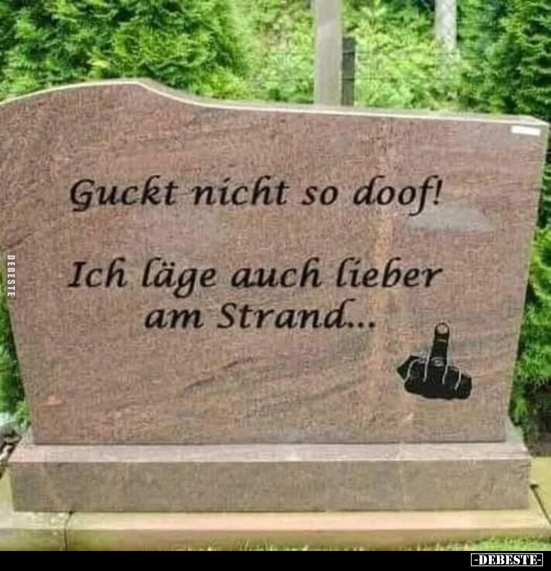 Guckt nicht so doof!
Ich läge auch lieber am Strand...