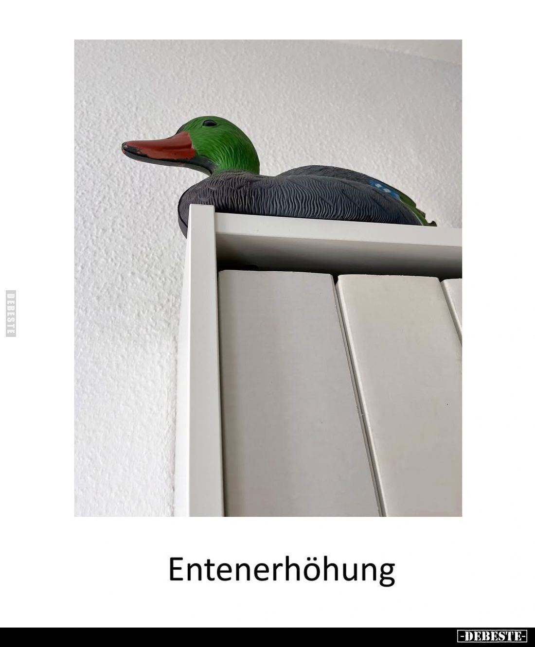 Entenerhöhung.